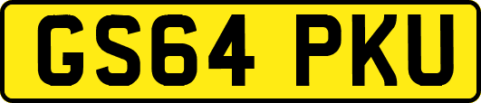 GS64PKU