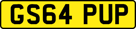 GS64PUP