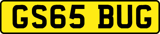 GS65BUG