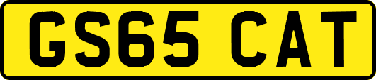 GS65CAT