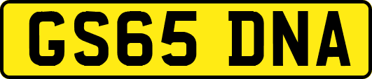 GS65DNA