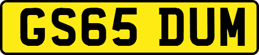 GS65DUM