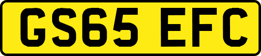 GS65EFC