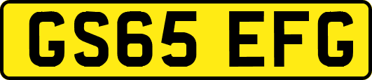 GS65EFG