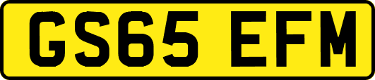 GS65EFM