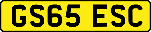 GS65ESC