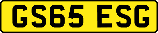 GS65ESG