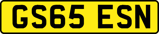 GS65ESN