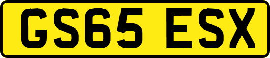 GS65ESX