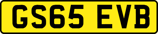 GS65EVB