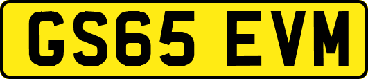 GS65EVM