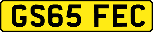 GS65FEC