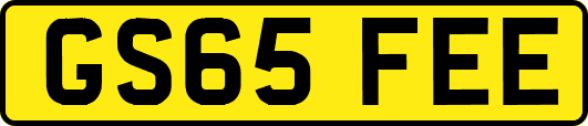 GS65FEE