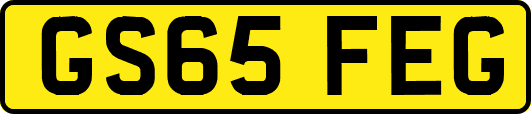 GS65FEG