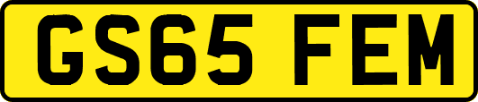 GS65FEM