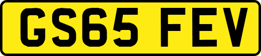 GS65FEV