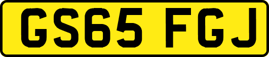 GS65FGJ