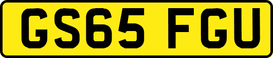 GS65FGU