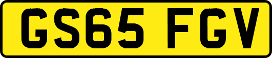 GS65FGV