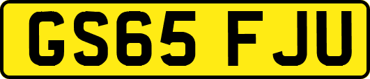 GS65FJU