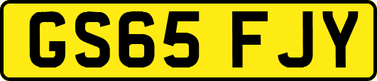GS65FJY