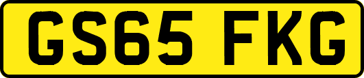 GS65FKG