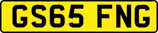 GS65FNG