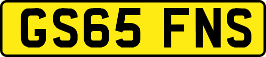 GS65FNS