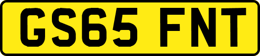 GS65FNT