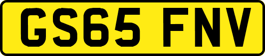 GS65FNV