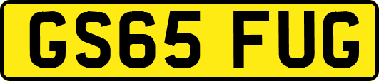 GS65FUG