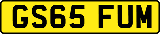 GS65FUM