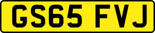 GS65FVJ