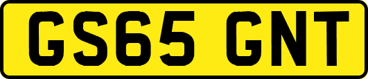 GS65GNT
