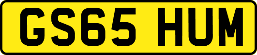 GS65HUM