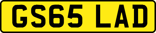 GS65LAD
