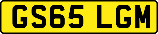 GS65LGM