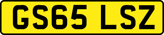 GS65LSZ