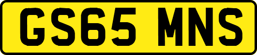 GS65MNS