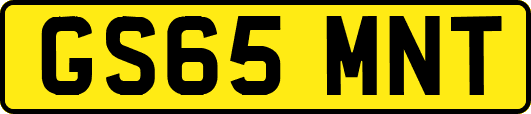 GS65MNT