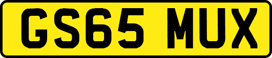 GS65MUX