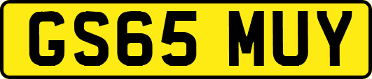 GS65MUY