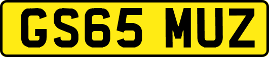 GS65MUZ