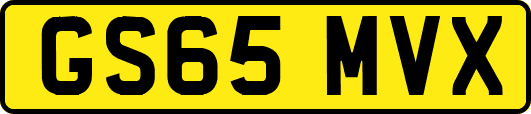 GS65MVX