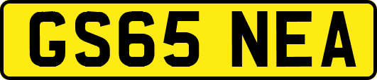 GS65NEA