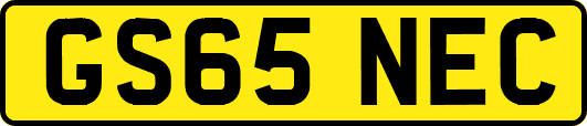 GS65NEC