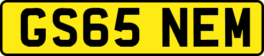 GS65NEM