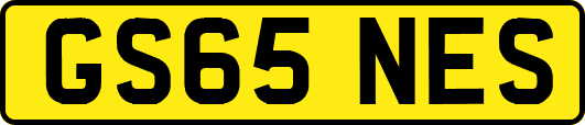 GS65NES