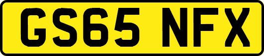 GS65NFX