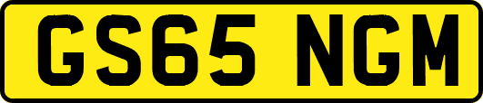 GS65NGM